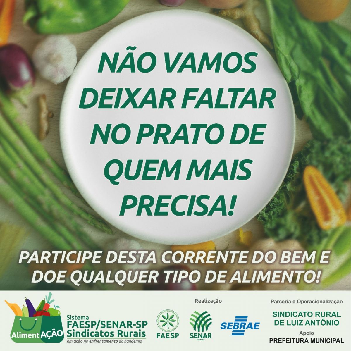PROGRAMA ALIMENTAÇÃO