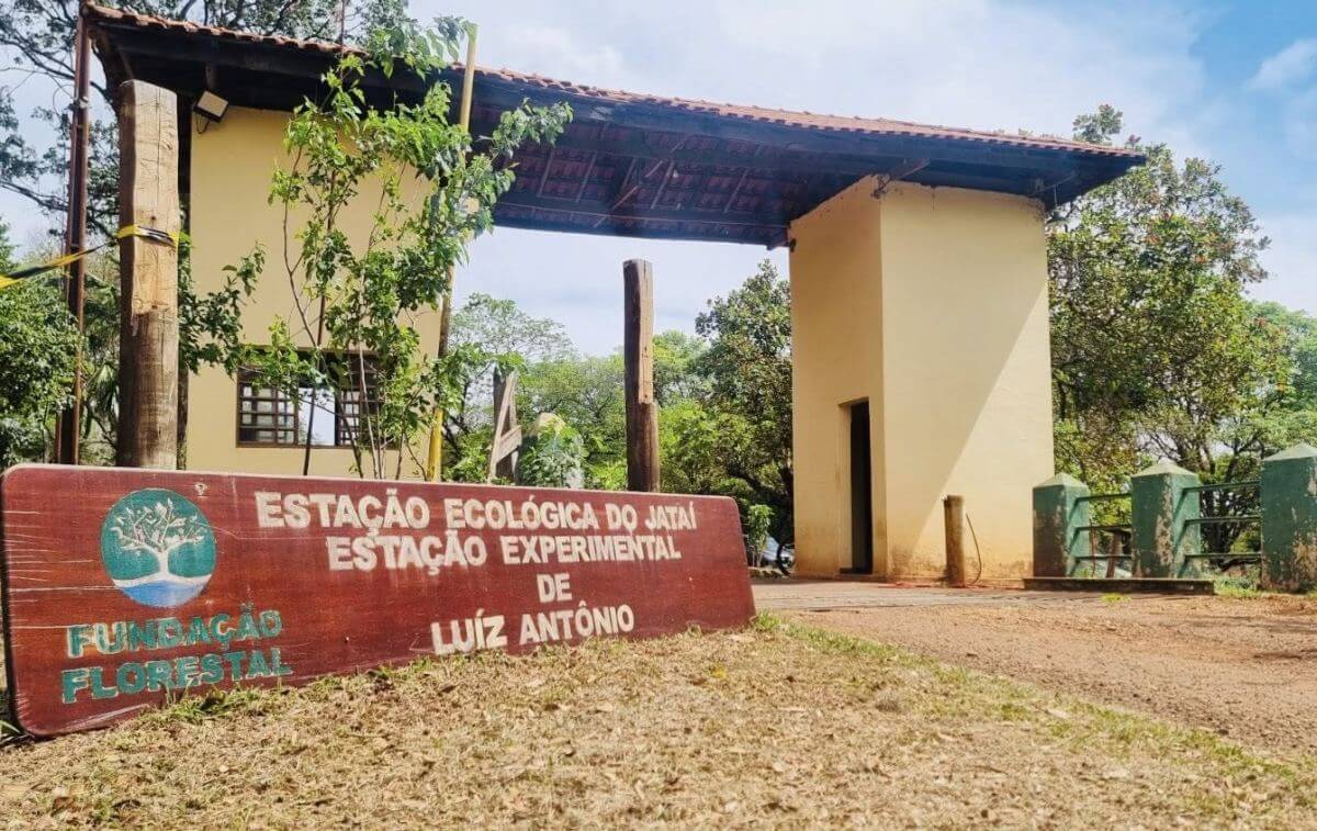 2ª Feira Cultural do Jataí reúne grande público e celebra as raízes históricas de Luiz Antônio