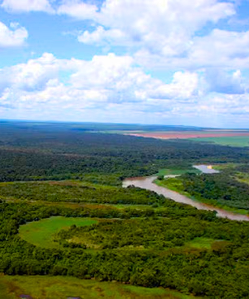 Reserva Ecológica Jataí