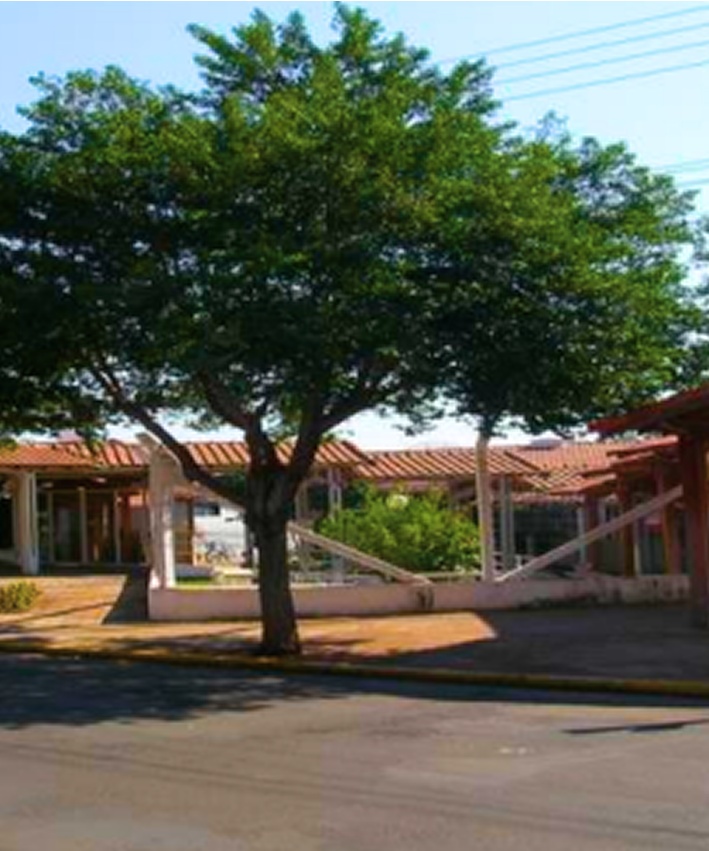 EMEI Araci Carneiro de Mesquita